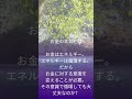 【マインドコーチ】お金の本質とは　お金はエネルギー　だから循環する。お金に対する意識が循環する。その意識で循環しても大丈夫？不足感、欠乏感の意識を捨てろ 宇宙真理 宇宙意識 カウンセリング