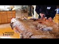 STOP Wasting Your Deer Hide | Tan Your Hide at Home! (Easiest Method)