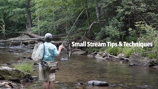 Small Stream tips & techniques | Fly Fishing for Wild Trout