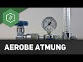 Aerobe Atmung