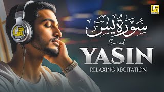 Surah Yasin (Yaseen) Full سورة يس | This will TOUCH your HEART إن شاء الله | Zikrullah TV
