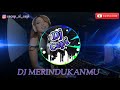 DJ MERINDUKANMU | DJ VIRAL TIK TOK 2020 | VERSI BURUNG GAGAK REMIX