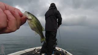 やっぱり僕には釣れない琵琶湖