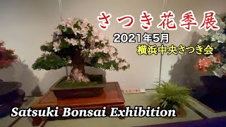 さつき花季展 2021年5月／Satsuki Bonsai Exhibition