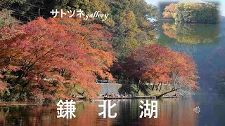 「鎌北湖」です。西部池袋線東吾野駅からユガテ経由鎌北湖へ行き、北地蔵までのルートです。鎌北湖の紅葉が綺麗でした。