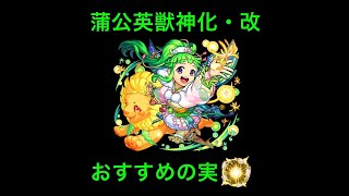 【蒲公英獣神化・改】おすすめわくわくの実[モンスト]