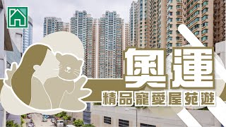 【奧運搵樓】維港灣．港灣豪庭．形品・星寓．精品寵愛屋苑遊