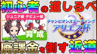 【初心者向け】アリエス杯で廃課金に勝つ近道はこれ！～始めて1ヵ月でプラチナ男が初心者をグレードA決勝へ導く～【チャンピオンズミーティング/アリエス杯/無課金/微課金】