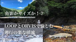 魚影かサイズか！？　LOOPとORVISで愉しむ遡行の楽な渓流