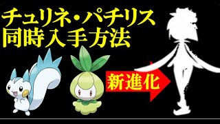 【ヒスイドレディア】パチリスとチュリネを同時に入手する方法【Pokémon LEGENDS アルセウス】