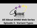 SHINE Syndrome Web Series Episode 3  - Variant Types