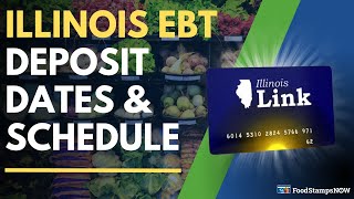 Illinois EBT Deposit Dates & Payment Schedule