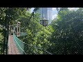 Kuala Lumpur Canopy Walk Ecopark Menara Malaysia