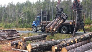 Log delivery day, Truck in action. Sorry about the crappy sound... again.