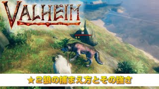 【VALHEIM】★２狼の捕まえ方とその強さ