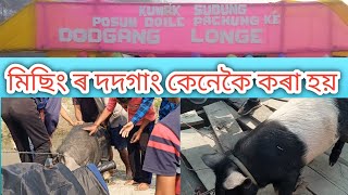 মিছিং দদগাং॥mising dodgang:Midang Mising