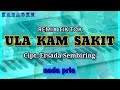 Karaoke ULA KAM SAKIT Remik TikTok nada pria | Siska Jorank | cipt: Ersada Sembiring