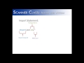 Scanner Class Part 1:  import and syntax (Java)