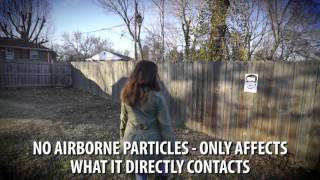 Why Pepper Gel? | SABRE