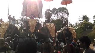 Mayannure kavu thalapoli 2016