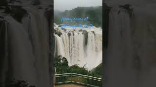 #Niagara Falls of Kerala -  Athirappilly Falls (heavy rains)