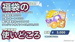 【ブルアカ】福袋の使いどころ ずんだもん音声字幕解説 biimシステム 【ブルーアーカイブ】#ブルアカ