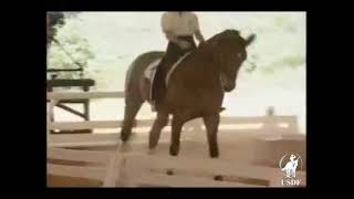 USDF 1993 National Symposium   Counter Canter and Lead Changes