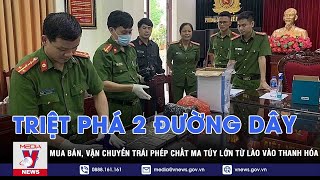 Triệt phá 2 đường dây mua bán, vận chuyển trái phép chất ma túy lớn từ Lào vào Thanh Hóa - VNEWS