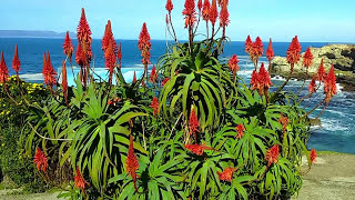 Overberg - What my Canon Saw in the Overberg