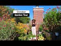 October Container Garden Tour | Rooftop Balcony Garden