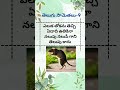 samethalu 9 samethalu proverbs fun telugu