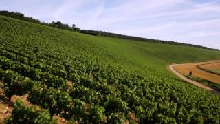 Vinmarkerne omkring Laroche / Chablis