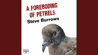 Chapter 37.5 - A Foreboding of Petrels