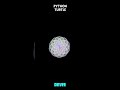 Circular Spiral Animation using Python Turtle | #coding #trending #design #694 #css #html #projects