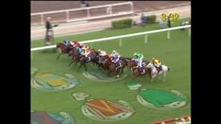 [Jockey Club Day 2012] CALIFORNIA MEMORY won the LONGINES Jockey Club Cup 2012