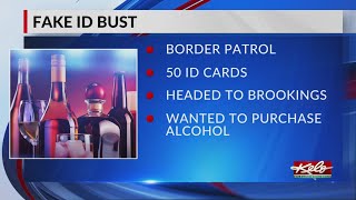 Brookings police say 50 fake IDs stopped