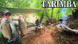 ACAMPAMENTO DORMI EM UMA TARIMBA NO MEIO DA FLORESTA PESCARIA e AVENTURA FIZ  MOLHO DE PEIXE.