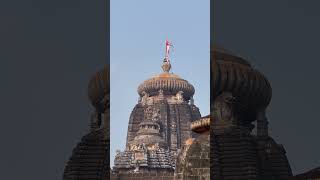 1000 years old - Shree Lingaraj Temple- Bhubaneswar- Odisha #lingaraj #shankar #bholenath