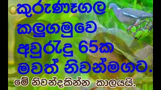 සිතක මායාව 33