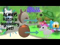 *WORKING* ALWAYS HATCH A LEGENDARY PET HACKS!!!-TESTING OUT LEGENDARY PET HACK+RIDE POTIONS GIVEAWAY