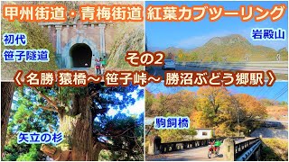 【ドラレコ実況】甲州街道の最大難所は重厚な歴史の重なる場所〈猿橋～初代笹子トンネル～勝沼ぶどう郷駅〉秋の甲州街道と青梅街道を往復して絶景紅葉と走りごたえあるルートを半日で楽しめる贅沢カブツーリング②