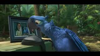 Rio 2 - at the camping site