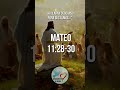 MATEO 11:28-30 - VERSICULO DE HOY - DIOS CUIDA A MI FAMILIA - ORACIONES AMOR A DIOS