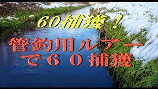 2016.11.27　「つり部会」　★管理釣場専用ルアーで60クラス捕獲★ 　スーパートラウト