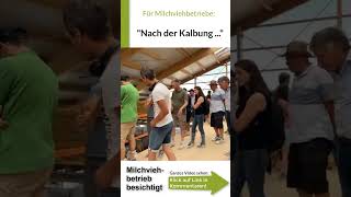 Nach der Abkalbung | Kalbung der Kuh ... #9