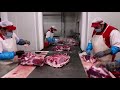 despiece de carne de vacuno incasur industrias cárnicas