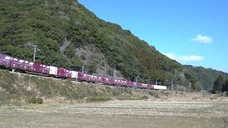 日豊本線　4075レ　EF81 453号機　4K20200202 4075 F81453