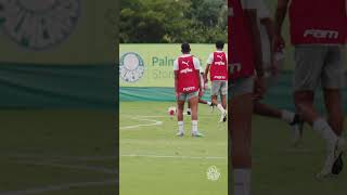 ESTEVÃO ACERTA BELO CHUTE NO TREINO DO PALMEIRAS!