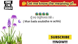 ମୁଁ ବଡ଼ ଅସୁବିଧାରେ ଅଛି କୁ English ରେ କଣ କୁହାଯାଏ/valuable sentences odia to English #shortsentences