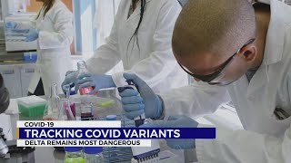 Tracking COVID-19 variants